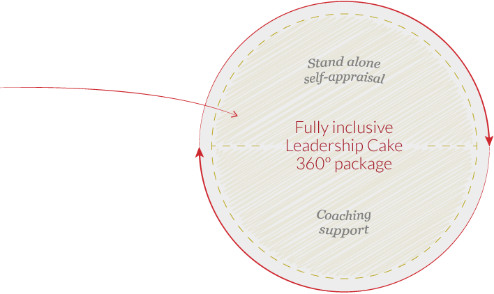 Stand alone self-appraisal & coaching support = fully inclusive Leadership Cake 360º package